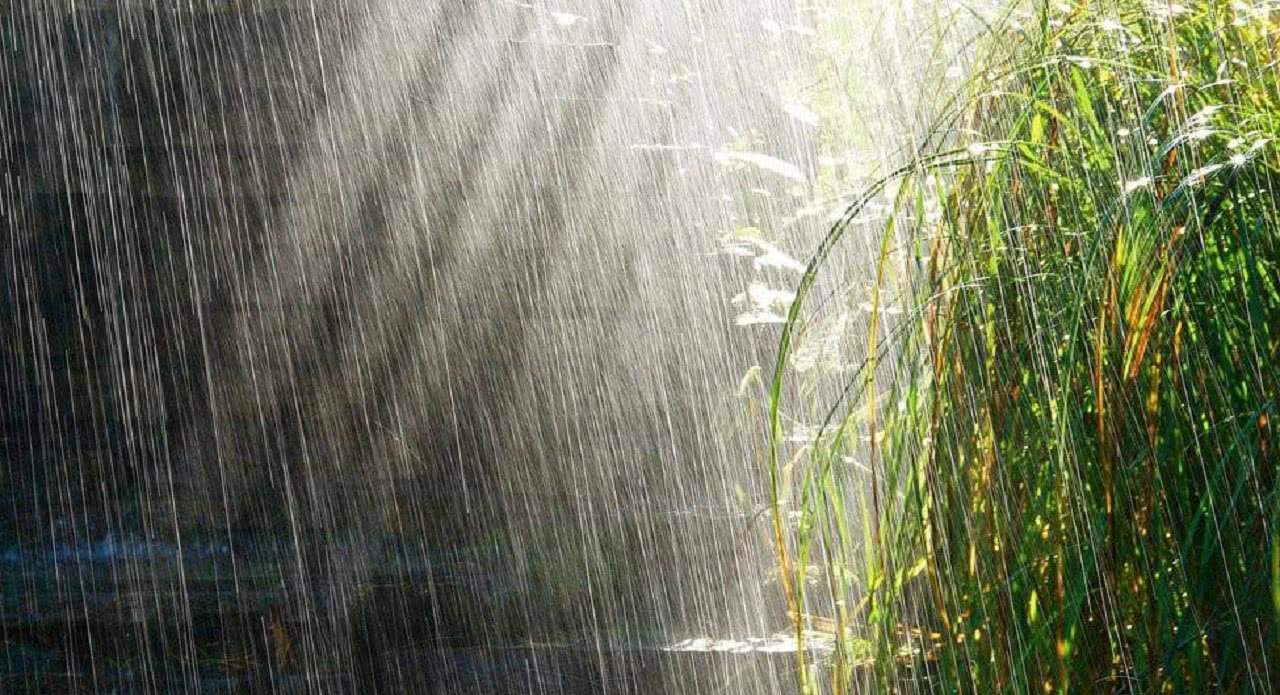 原創今天5月13農諺大旱不過五月十三五月十三下雨好嗎