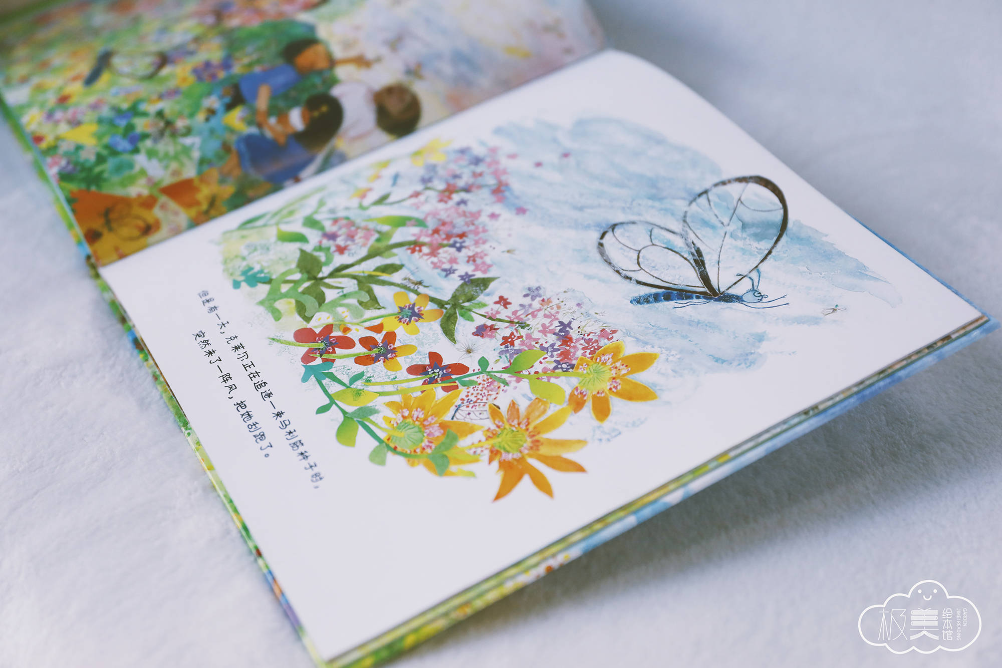 极美绘本推荐|适合3-6岁自然科学主题的绘本《透明的翅膀》