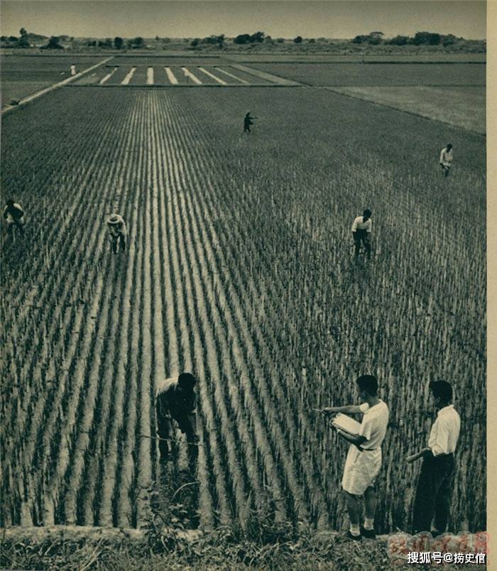 1950年代新中国摄影，表现生机勃勃的生产生活场面-搜狐大视野-搜狐新闻