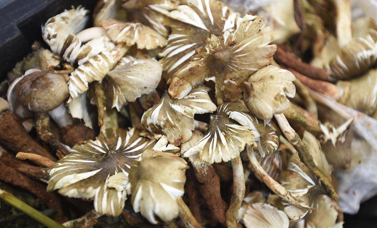 痛风的祸根被"拆穿",6类食物请管住嘴_尿酸