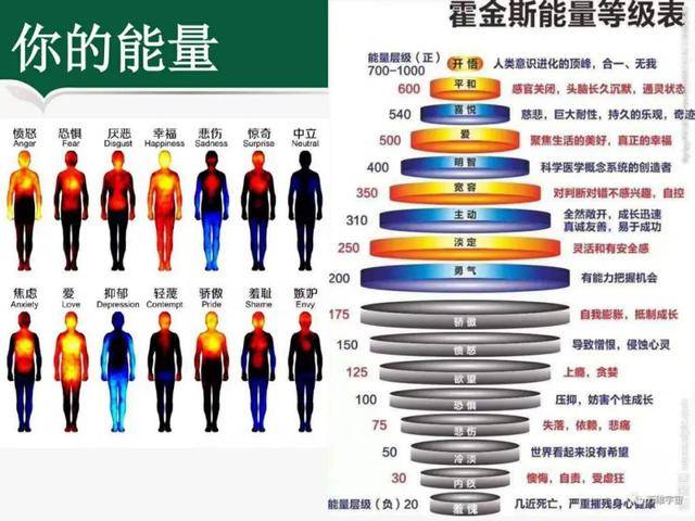 通過健康教育教學成長——從我的經歷談起第六部_能量