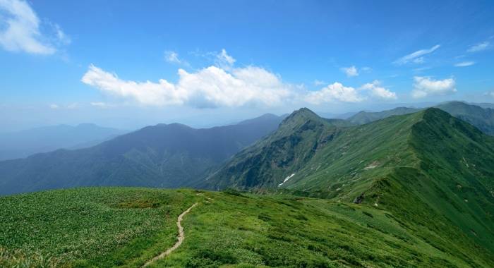 站在十字路口的集成灶产业，美大火星人谁是“带头大哥”?-家电圈官网