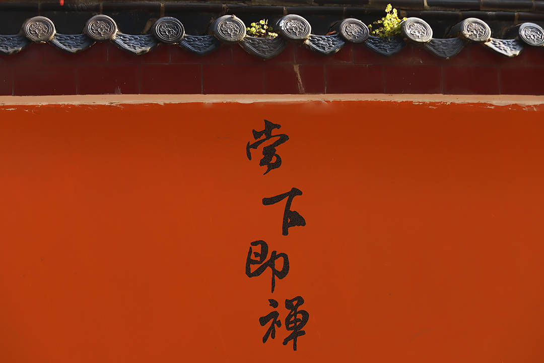 万行书院:佛门四大怪现象,你误修了多久