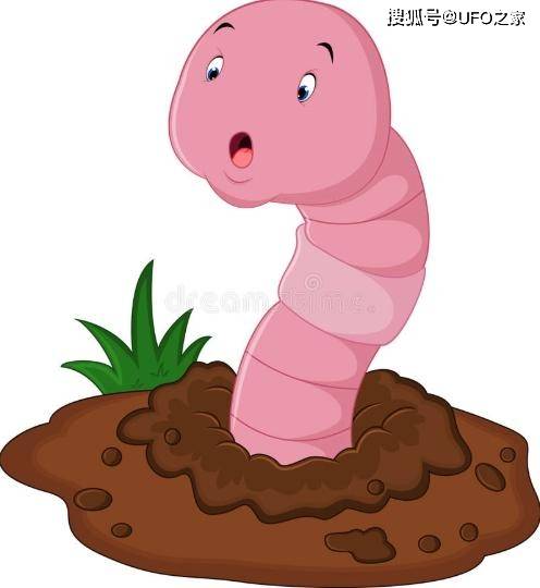 蚯蚓被切成两半为何还能恢复?科学家发现关键基因,它们太强大了