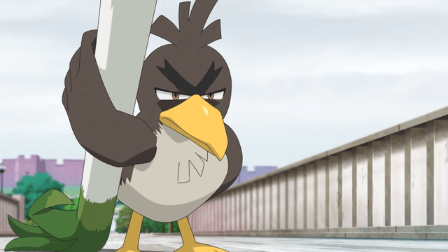 小智喜提伽勒尔大葱鸭,关于这只伽勒尔大葱鸭,社长后续也会另外开文章