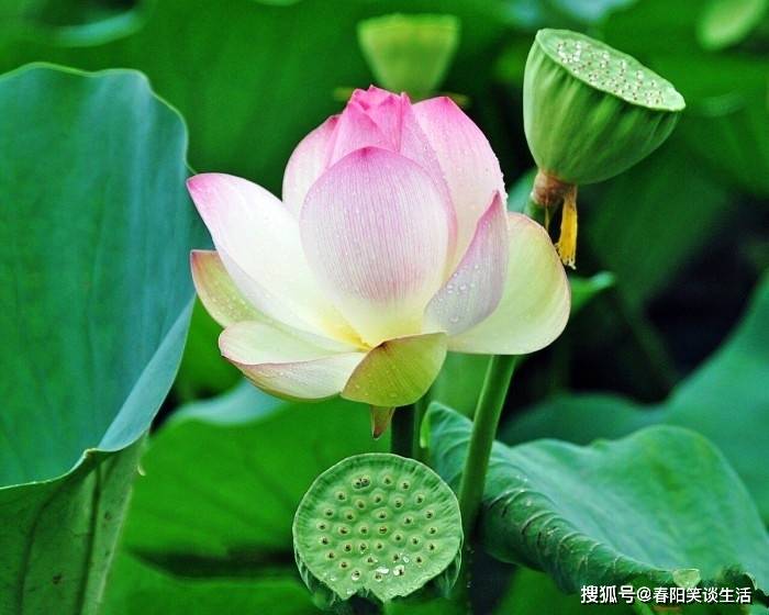 原创寓意深刻的经典说说,句句碰触心灵,读读受益匪浅
