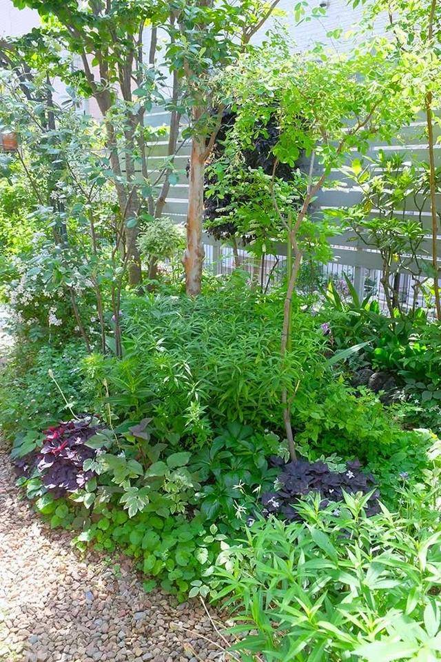 原创日本富人原来在庭院这样种菜?太美了