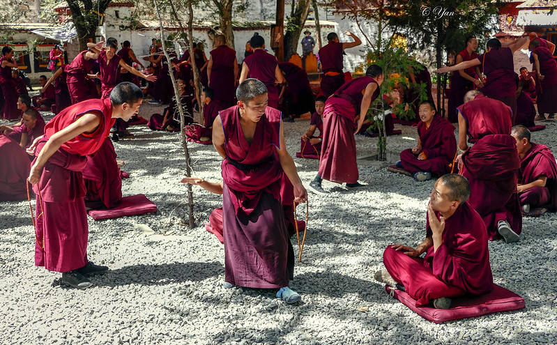 美国严教授青藏行 —— 哲蚌寺,色拉寺