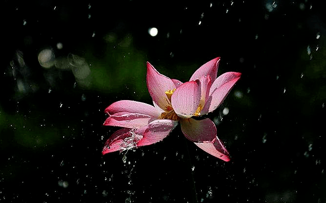 【诗词鉴赏】夏天的雨夜,雨夜的诗,带来了几丝凉意,几丝诗意!