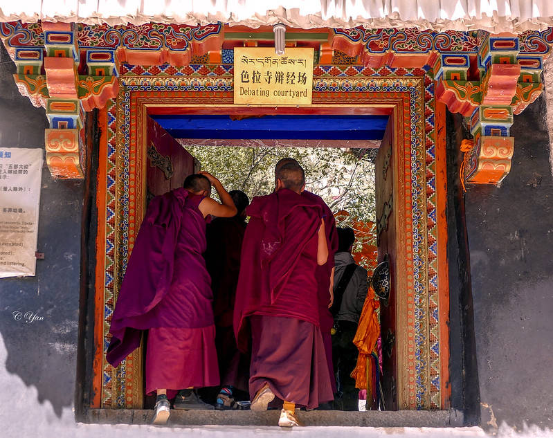 美国严教授青藏行 —— 哲蚌寺,色拉寺