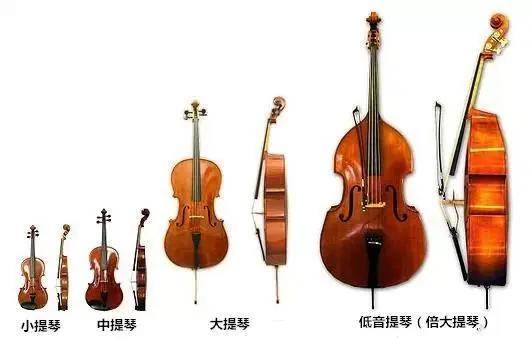管弦乐队的乐器排列图图片