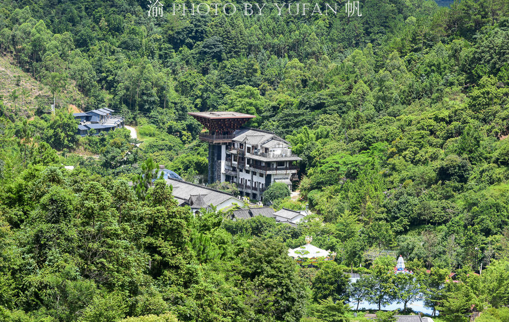 中国唯一没有新冠肺炎的地级市,满山皆闻南药香,连树叶都能卖钱 中国唯一没有新冠肺炎的地级市,满山皆闻南药香,连树叶都能卖钱