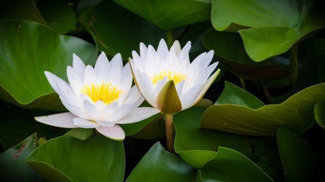 处女女:变得内心通透