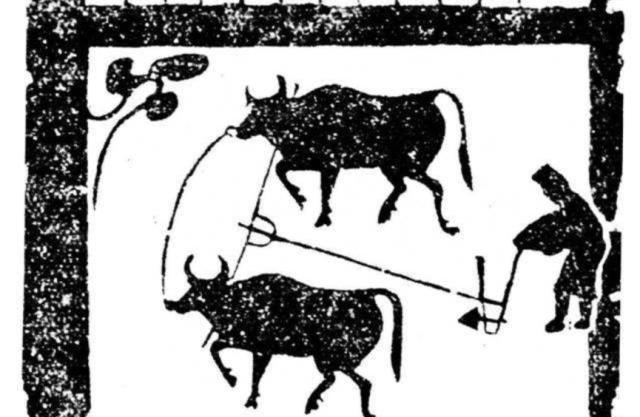 西方古代也是用牛耕田么?_马耕
