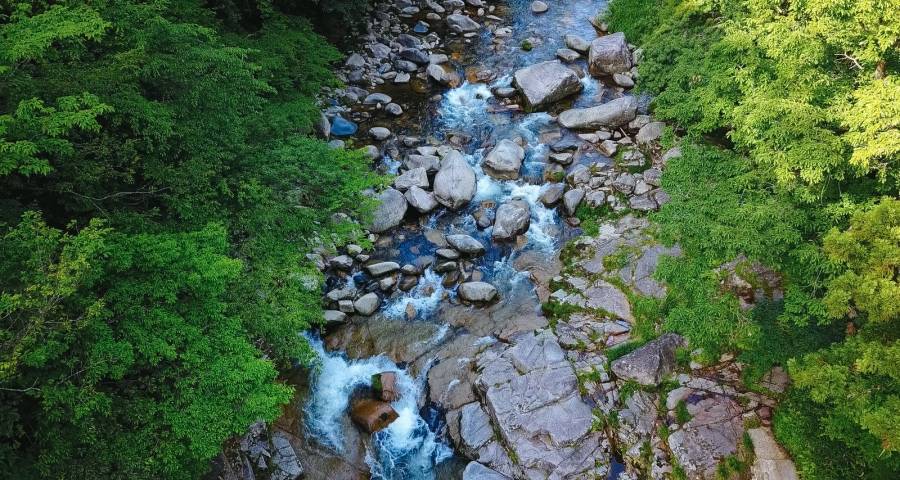 家电市场降温了，产品质量不稳定，格力奥克斯海信奥马各自出招-家电圈官网