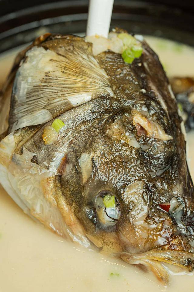 还有能去头风,治头痛的川芎白芷水库鱼头煲,清香润