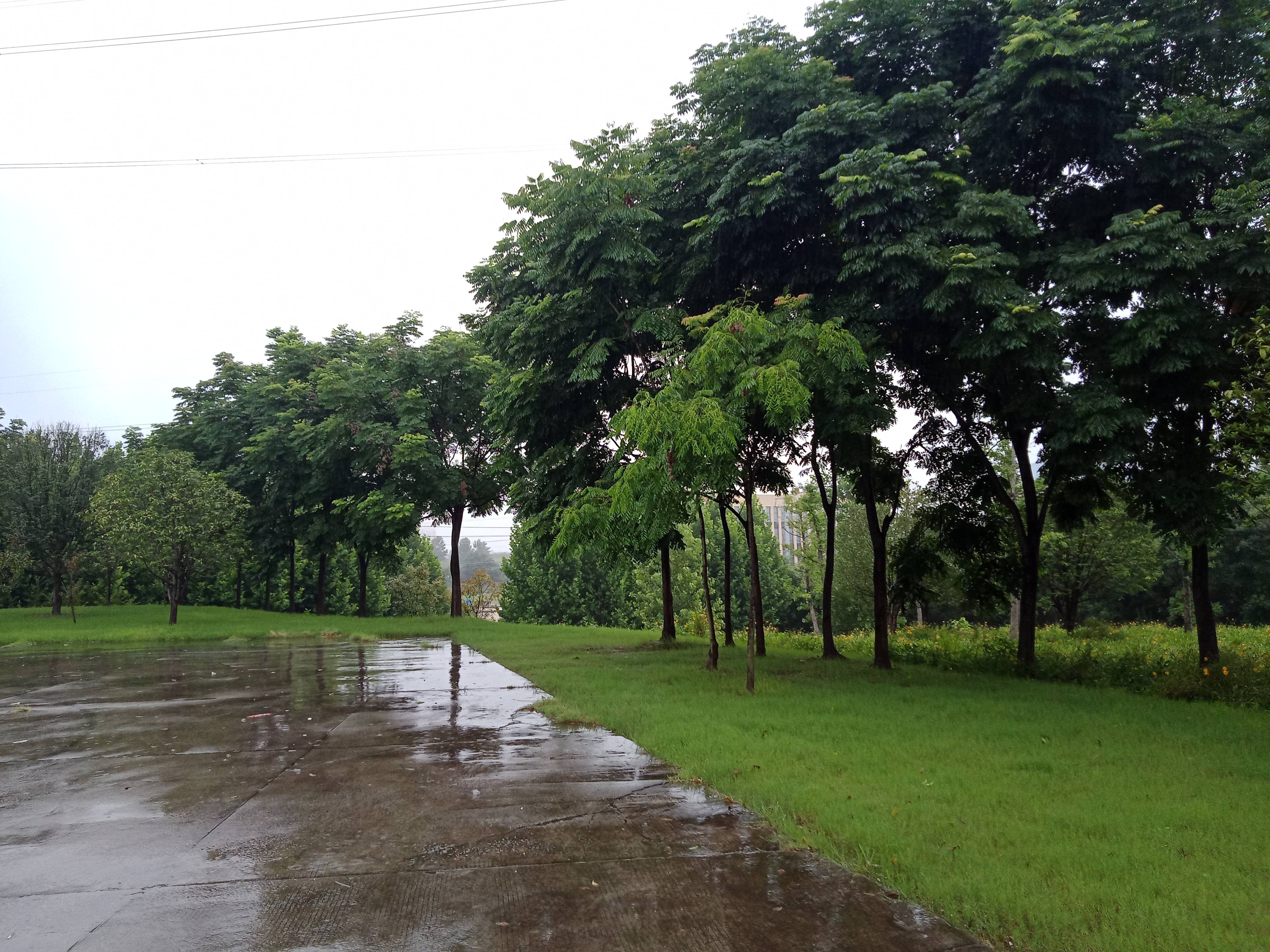 宜昌又在下雨,雨景不錯哦!