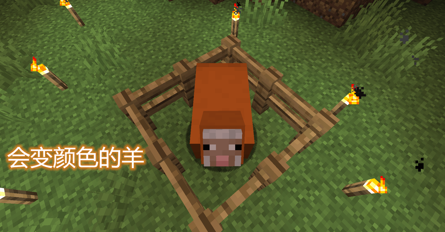 关于要怎么做,其实也很简单,只要用命名牌将羊的名字改成jeb—就行