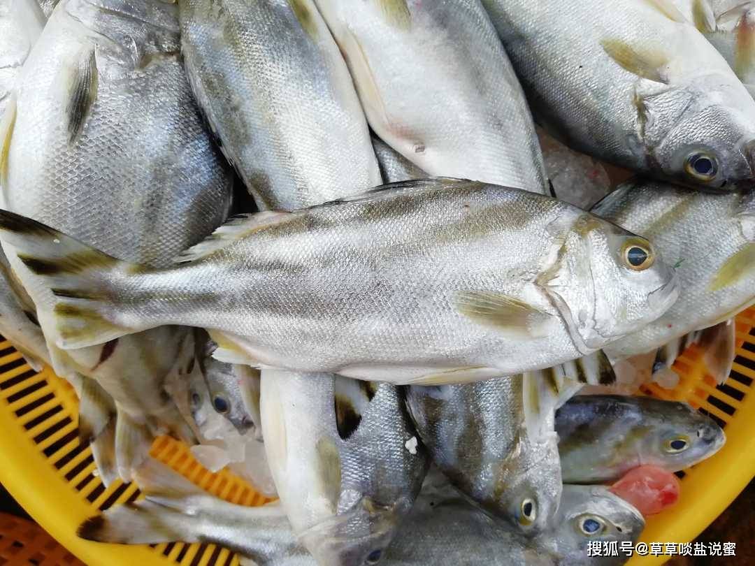 七月的花身鯻鱼就该用柠檬番茄才能酸爽开胃