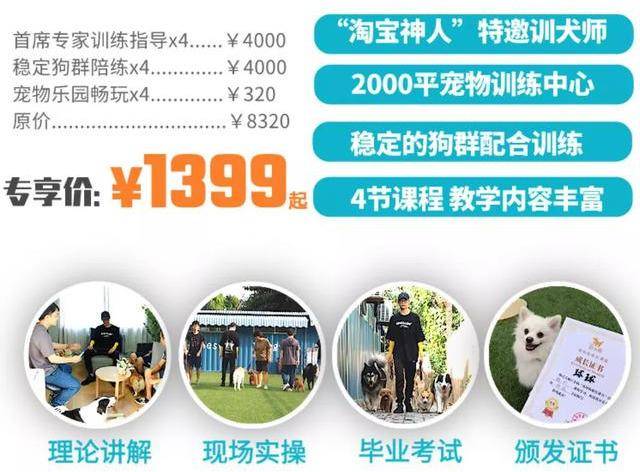 城市养狗很憋屈想让狗正确社交非常难城市人真的不配养狗吗