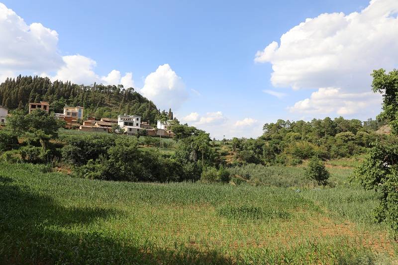 云南曲靖:因电而变的马堡地村