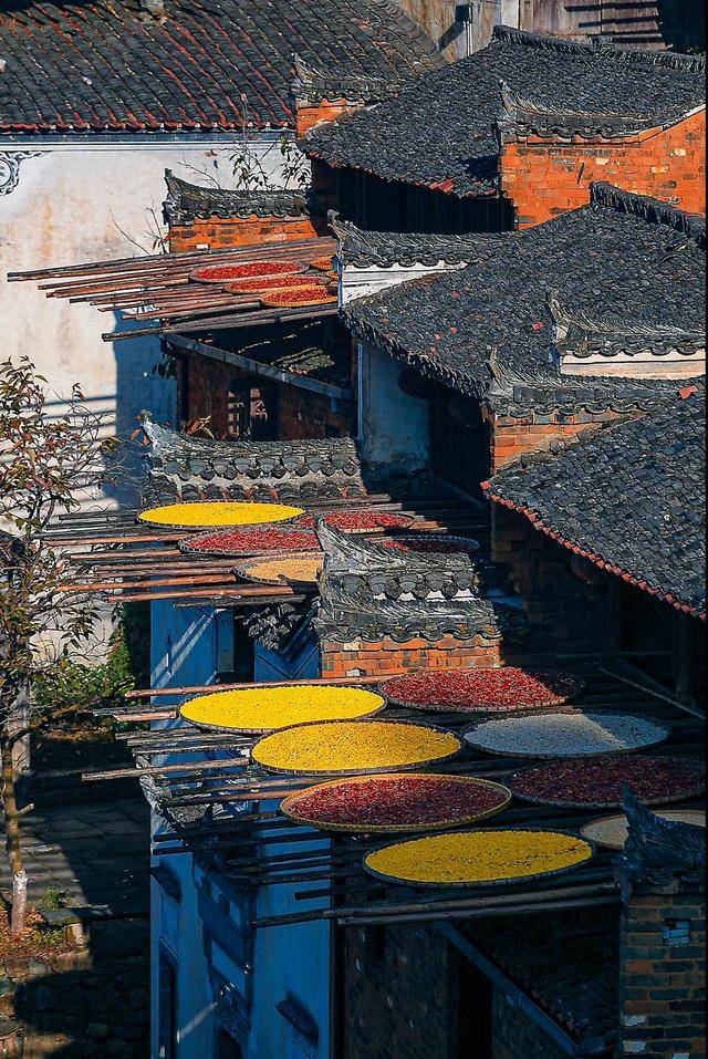 这里每年都会花开成海,被誉为"中国最美乡村"!