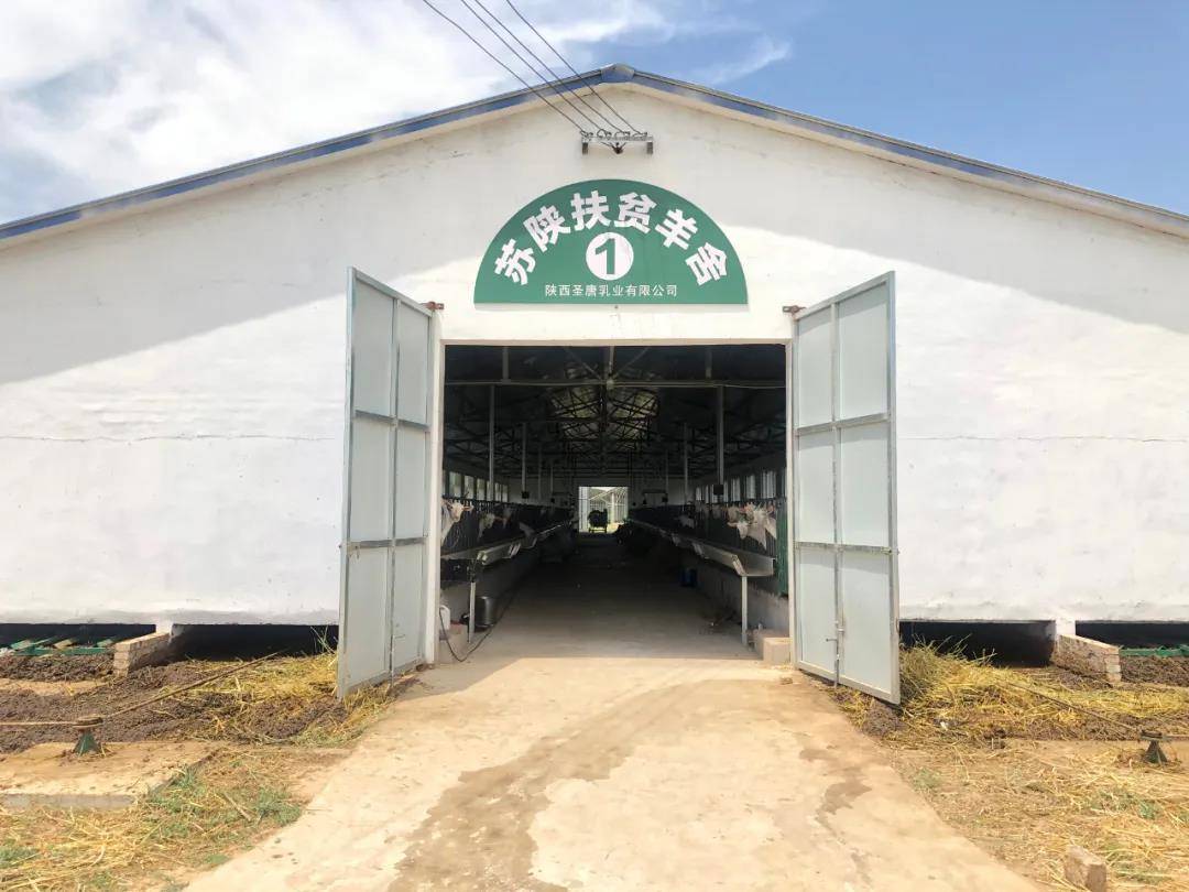 国务院网站报道苏陕扶贫协作工作成效圣唐乳业上榜2020年工作进展新闻