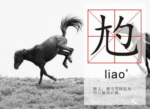 俺保证,关键时刻绝对不尥蹶子.