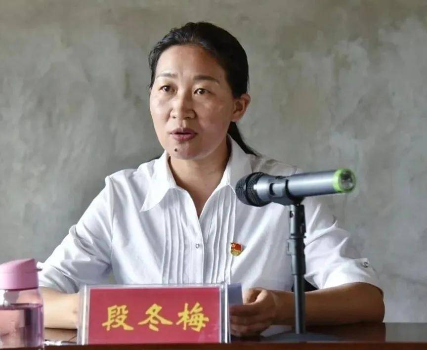 十亩公益助力云龙教育大理嘉逸投资开发有限公司捐款100万