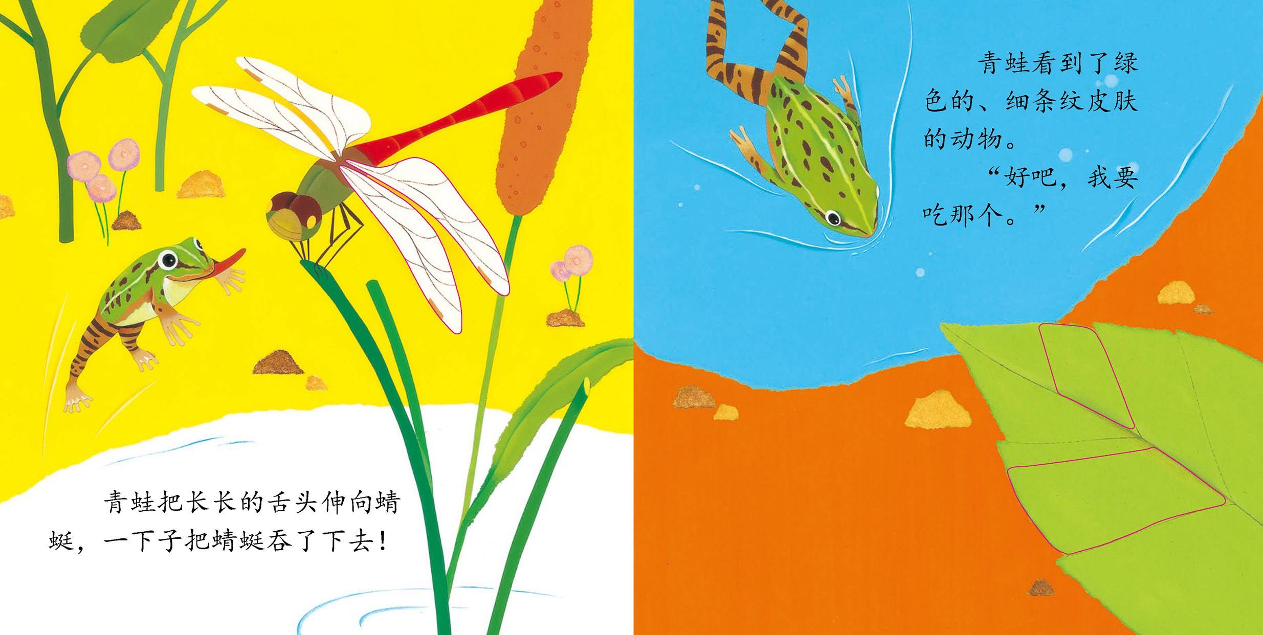 儿童绘本故事推荐《青蛙肚子饿了》