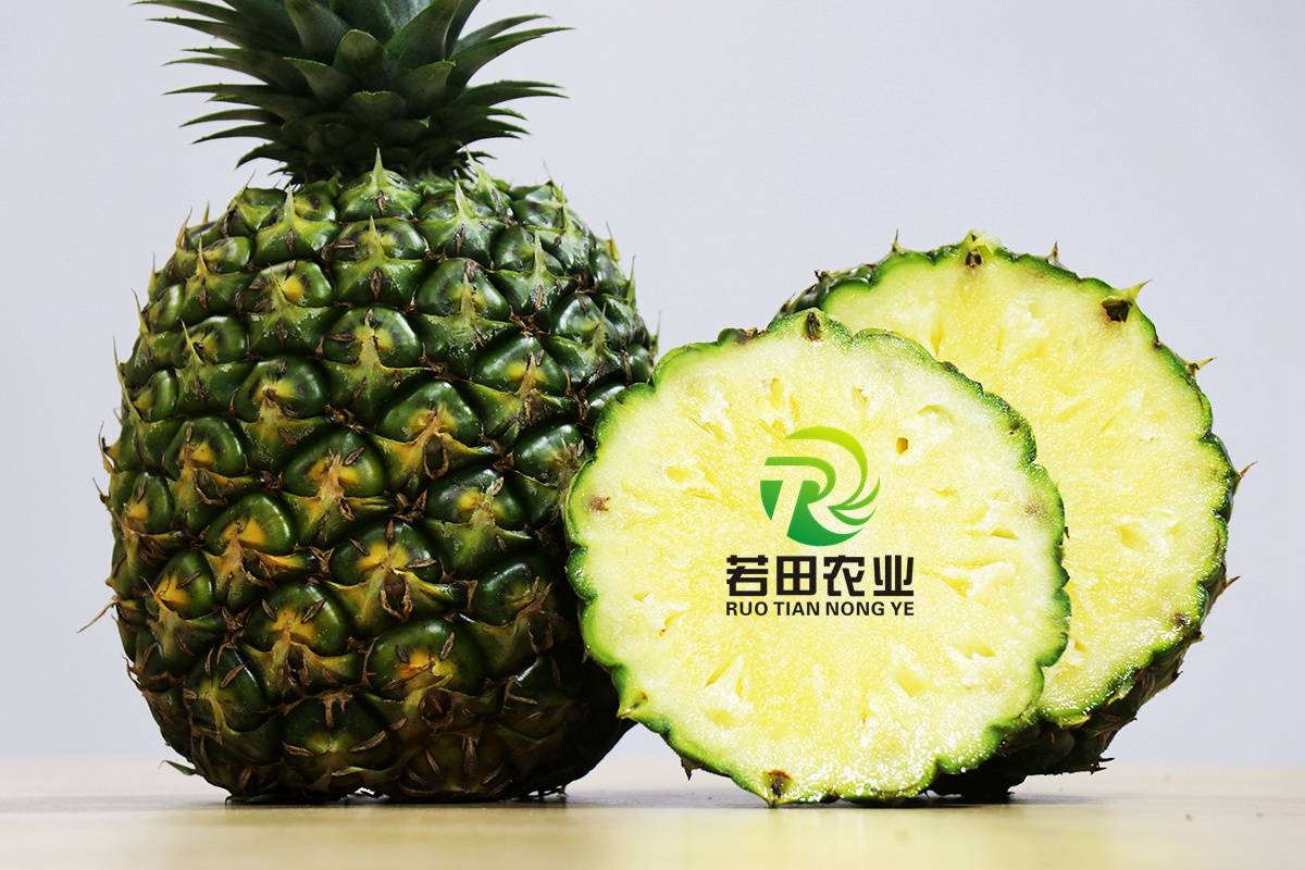 果子各个圆润饱满大片大片的西瓜凤梨 甚是壮观一片丰收美景7月份