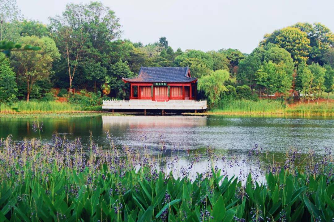 这片千年古湖有多少你不知道的传说 !