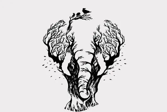 测出你当前状态_大象