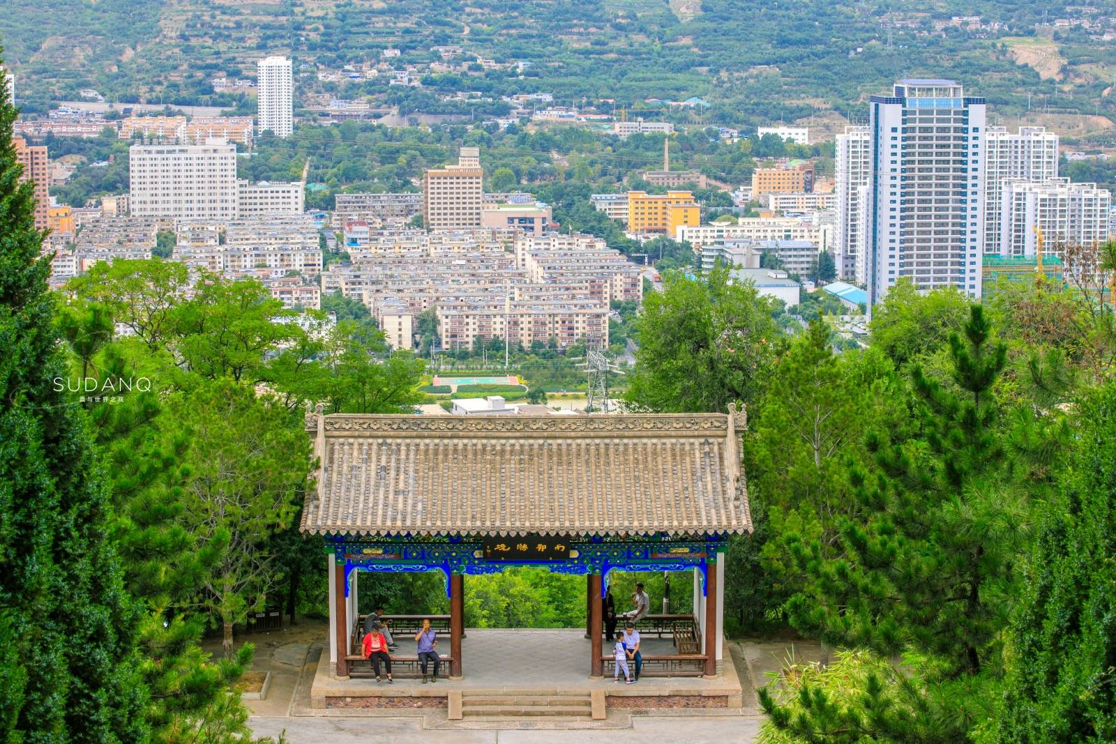 此外,在南郭寺背依山坡之上,还有一片在古城天水范围内唯一的天然白杨