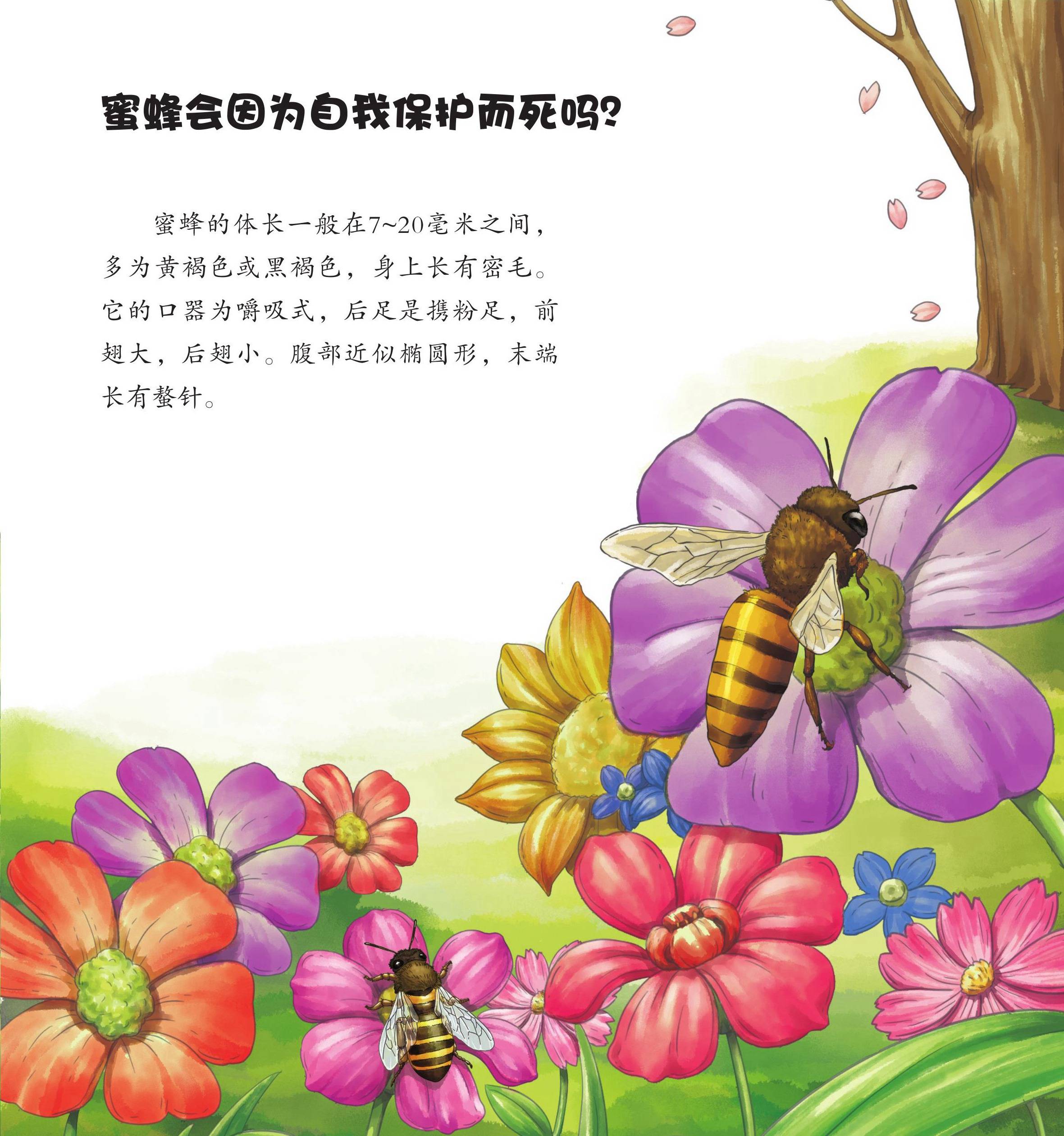 儿童绘本故事推荐《昆虫世界乐开怀中》