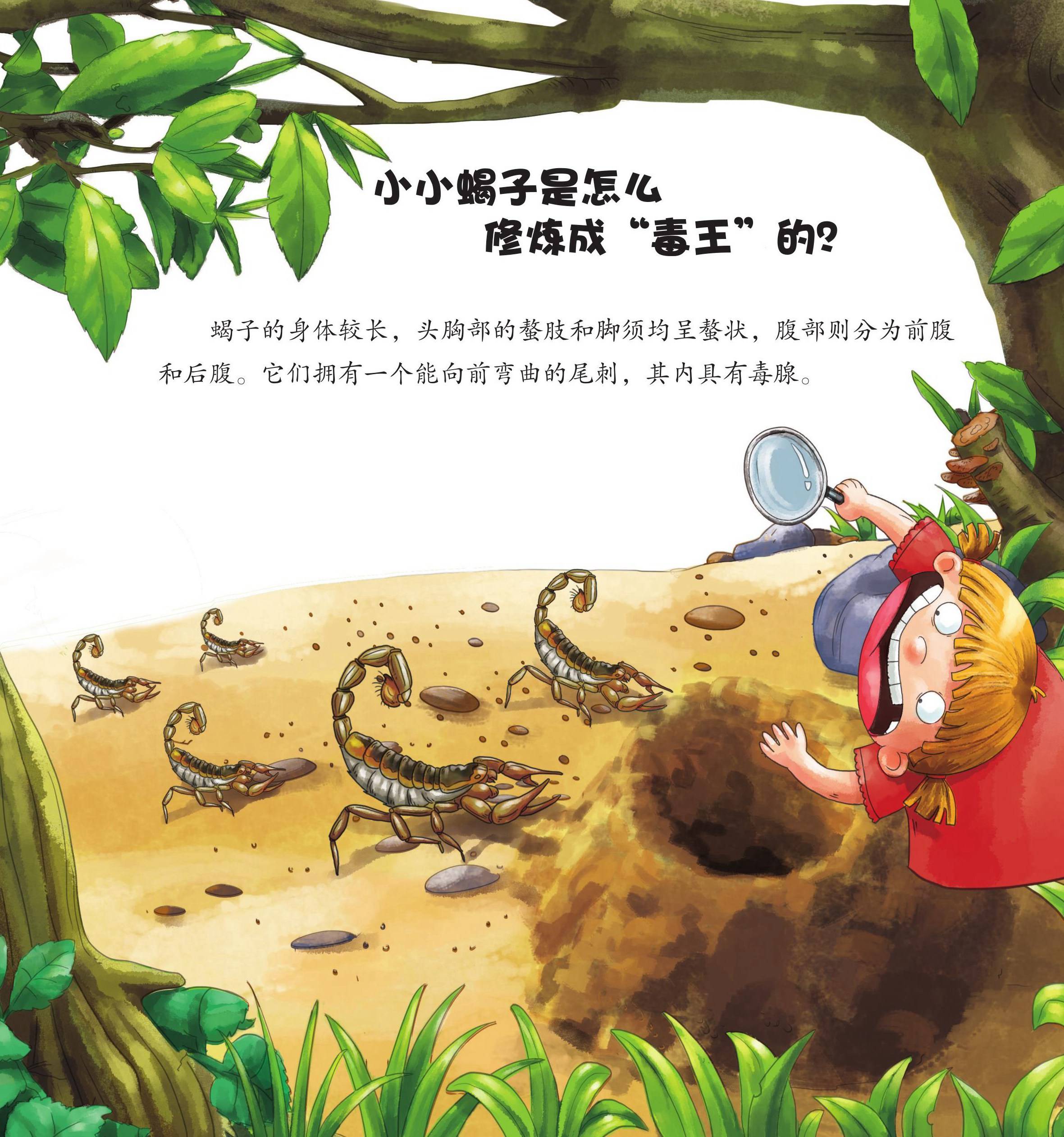 儿童绘本故事推荐《昆虫世界乐开怀中》
