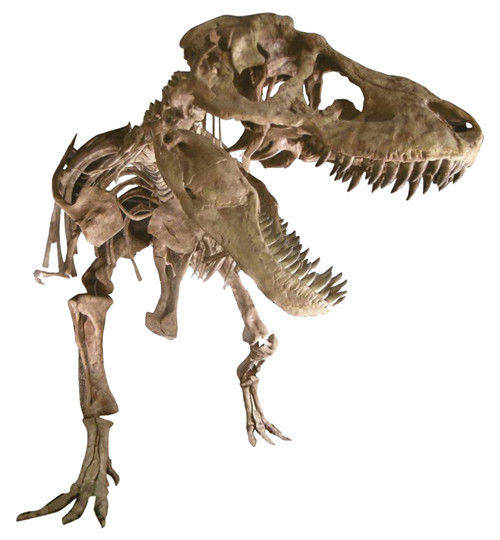 原创那颗6500万年前撞击地球,让恐龙灭绝的小行星,后来去了哪?