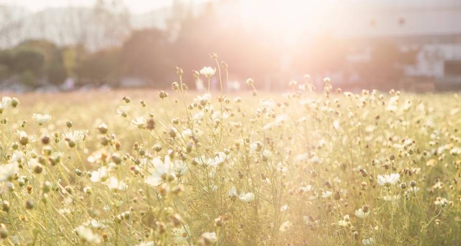 家电上半年市场真惨!格力创维上演资本局,海信海尔美菱新品秀-家电圈官网