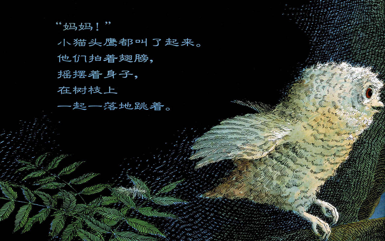 儿童绘本故事推荐《小猫头鹰》