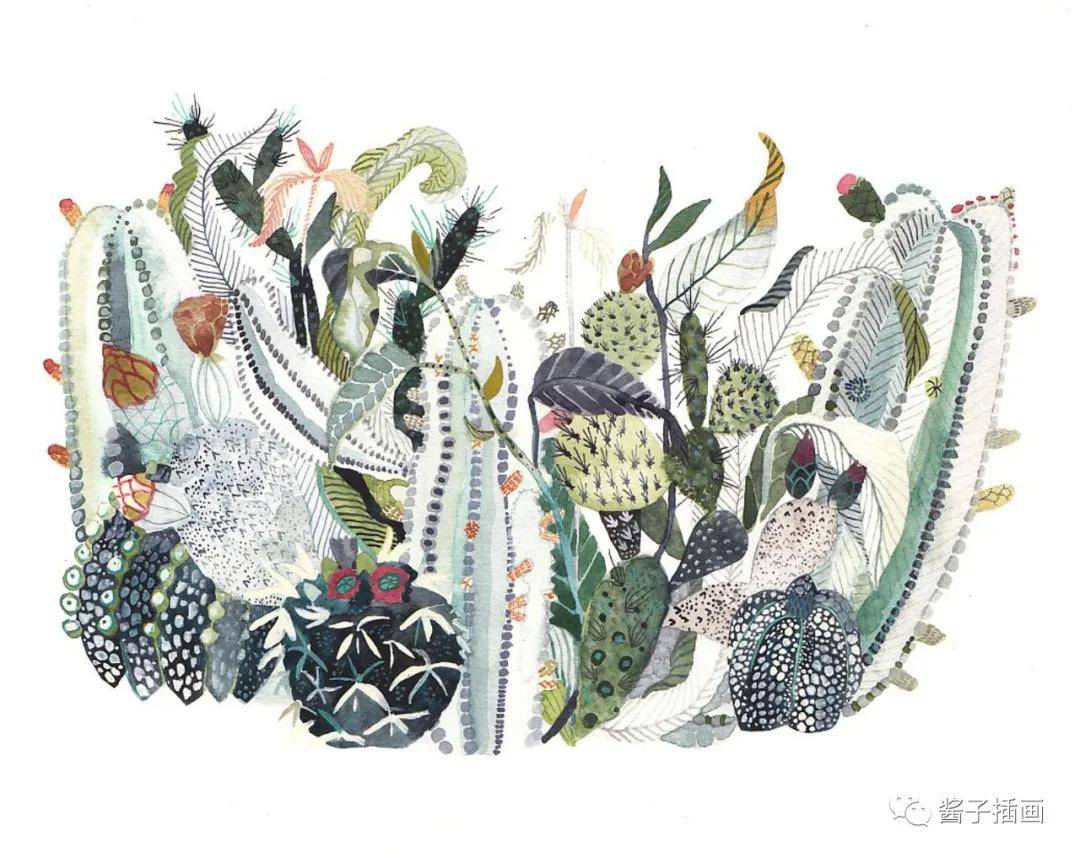 【插画】michelle morin:精美繁复的自然元素图案设计