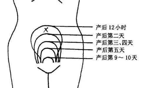 夏天坐月子怎样才能恢复快?保护好这4个部位,产后不留后遗症!_子宫