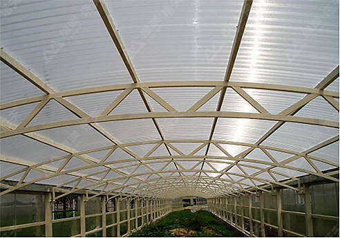 阳光板温室顶棚