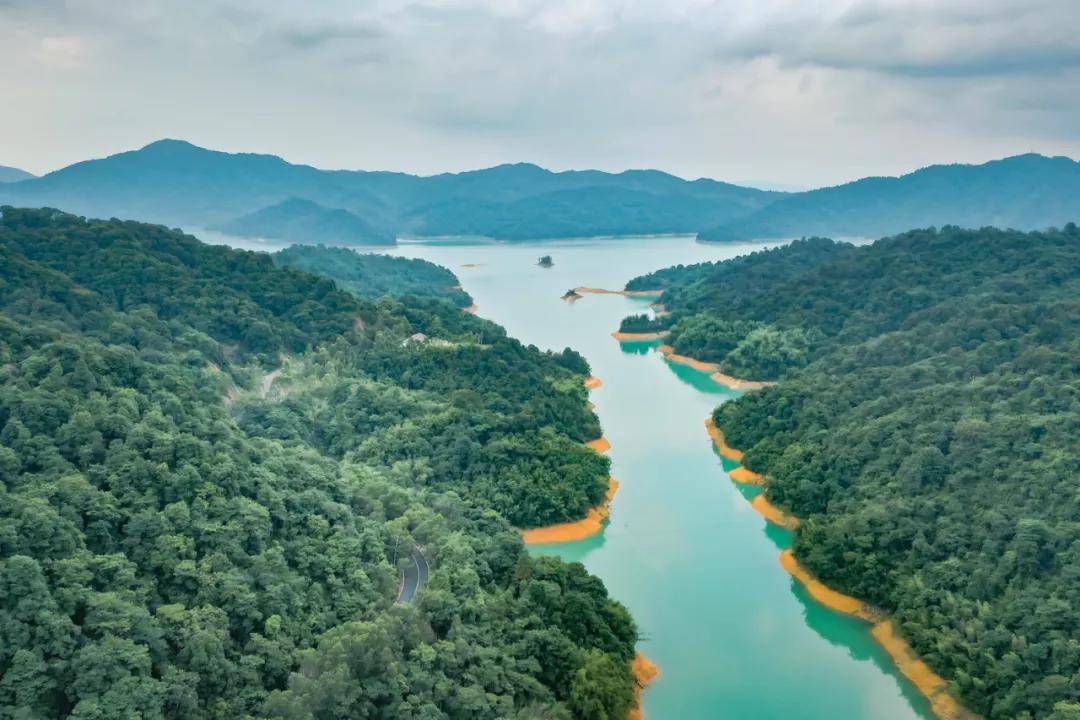 东江画廊,多彩的方式