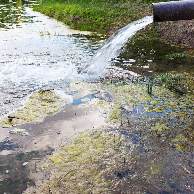 水质在线分析仪检测污水对水稻的影响_灌溉