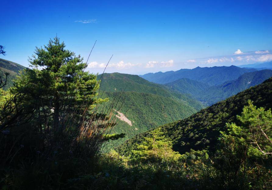 海拔2600米的狗爬梁,秦嶺又一秘境,湖水清澈可觀雲海猶如仙境