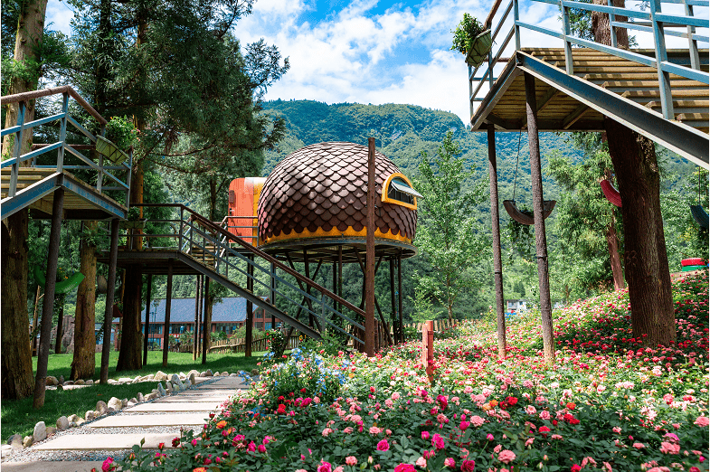 金佛山星空露营基地位于世界自然遗产,国家5a级风景区金佛山西坡脚下