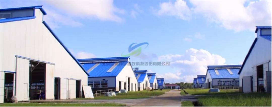 京鹏只为好牧场董事长高继伟解析智慧牧场规划设计
