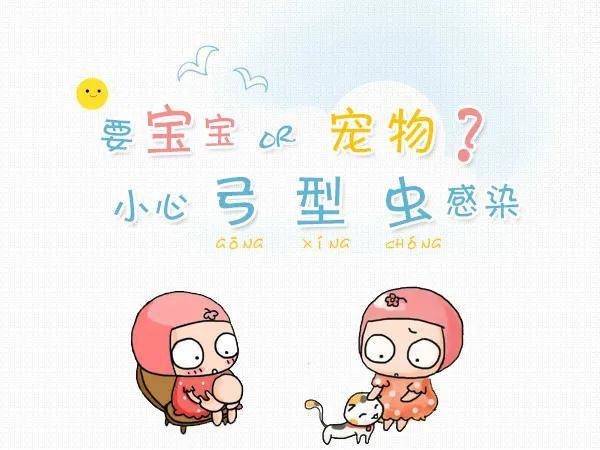 孕妇感染弓形虫危害,树袋宝宝带大家了解下