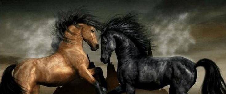 而熟悉《三国演义》的朋友一定对的卢马不陌生.