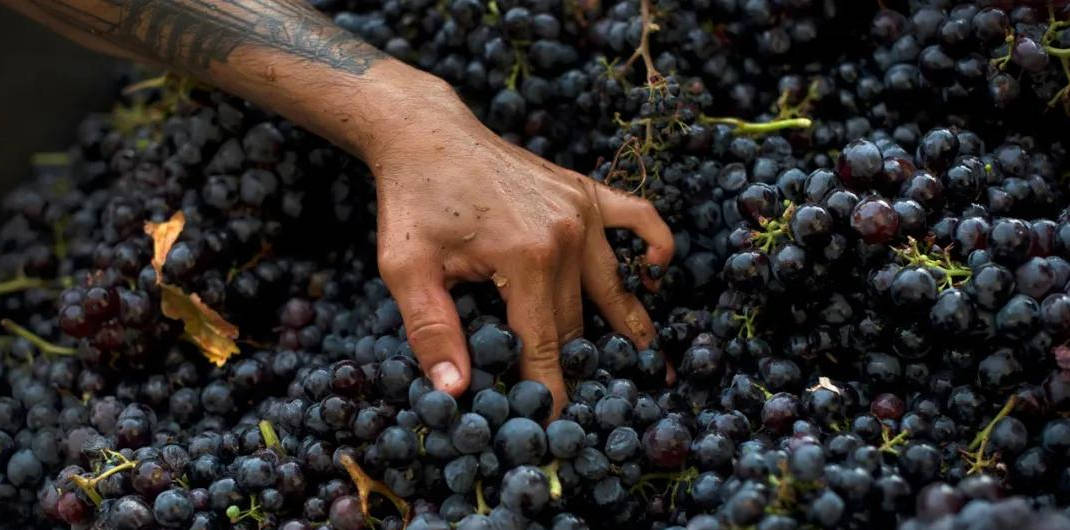 法国知名葡萄酒品牌Gérard Bertrand正式入驻中国市场